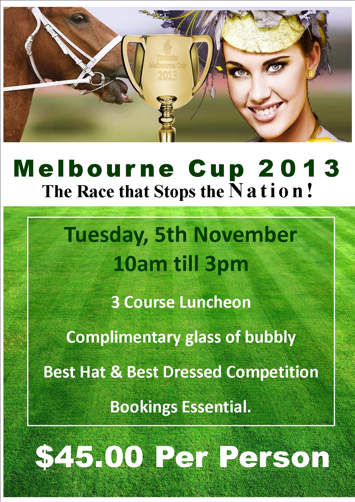 2013 MELBOURNE CUP
